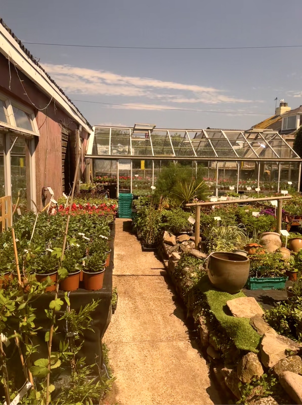 Garden Centre plants and stock
