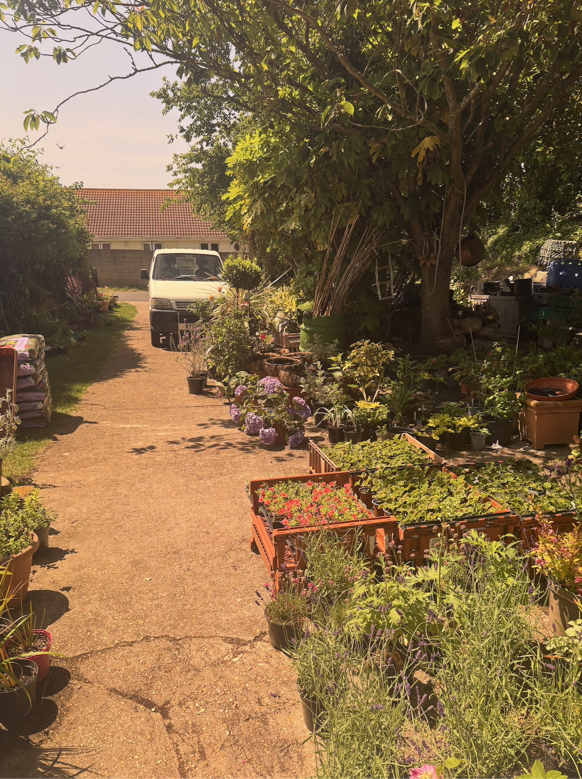Garden Centre compost and supplies