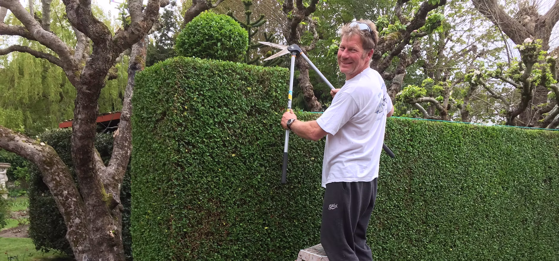 Hedge cutting