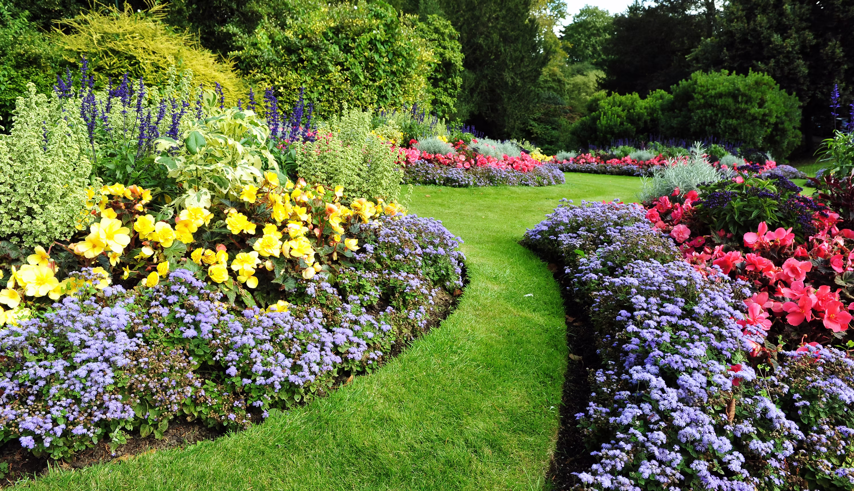 Longis Bay garden