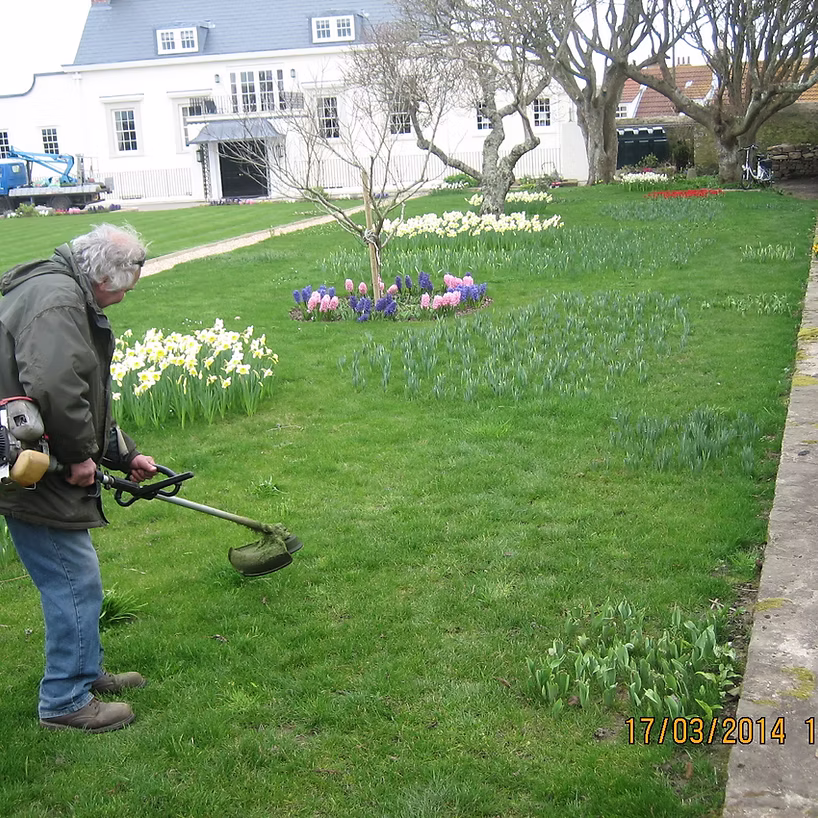 Lawn maintenance