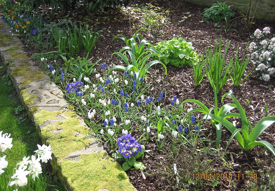 Garden maintenance